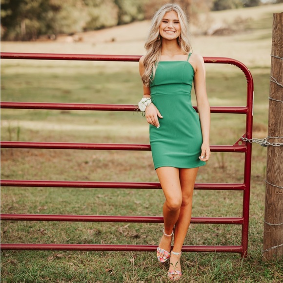 Meet your Posher, Sophie - Picture 1 of 1